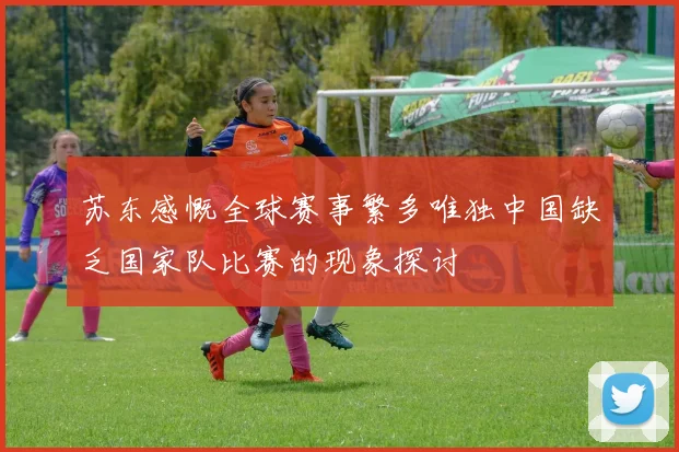 苏东感慨全球赛事繁多唯独中国缺乏国家队比赛的现象探讨