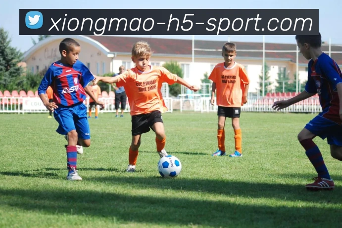 熊猫体育平台生态图