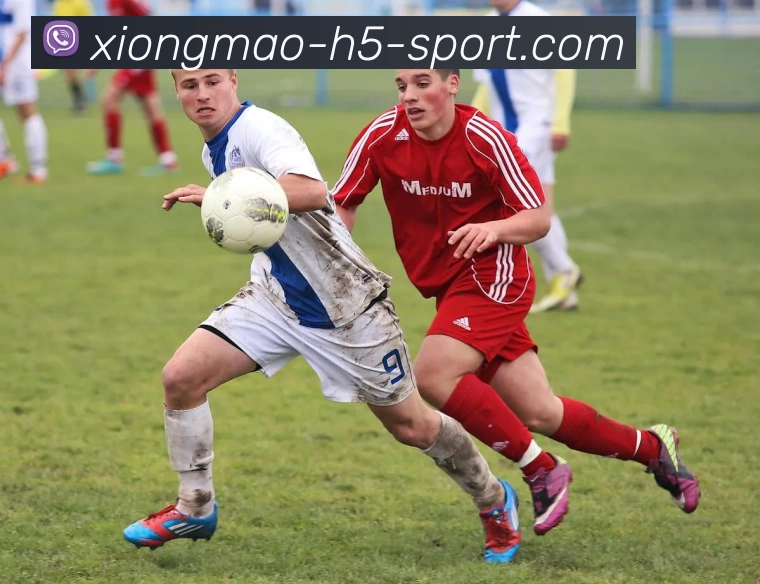 熊猫体育APP 封面图